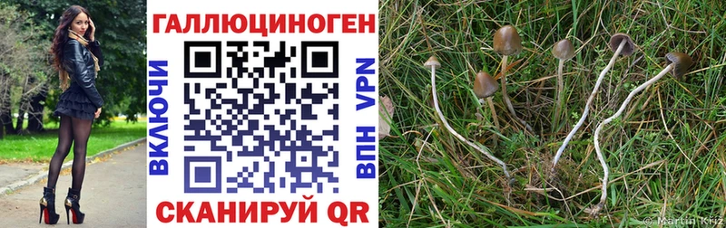 Псилоцибиновые грибы MAGIC MUSHROOMS  Буинск 