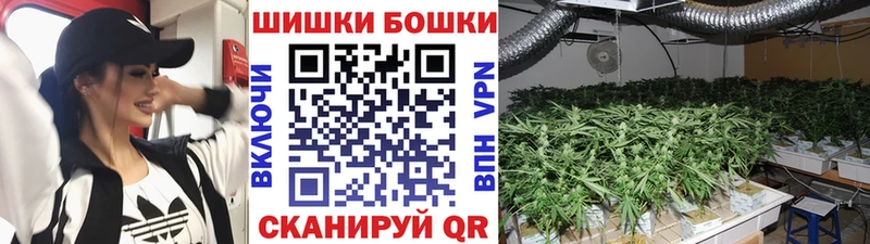 Бошки марихуана Ganja  что такое   Буинск 